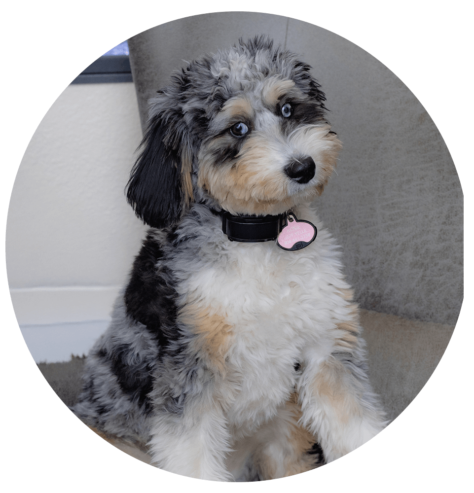 Headshot of Staff member